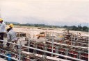 Lumut Housing Project